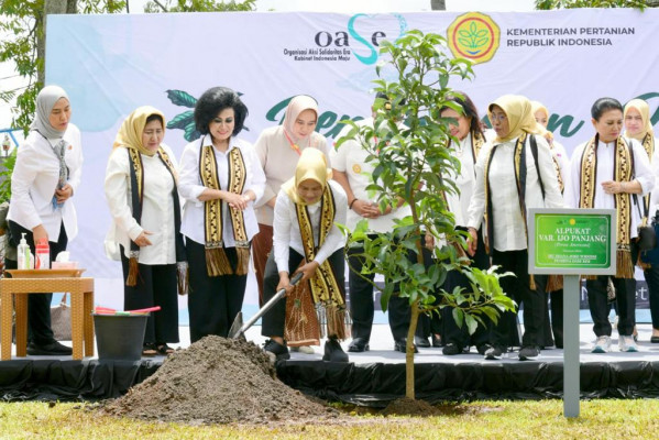 Ibu Negara dan Anggota OASE KIM Tanam Pohon di Mahan Agung